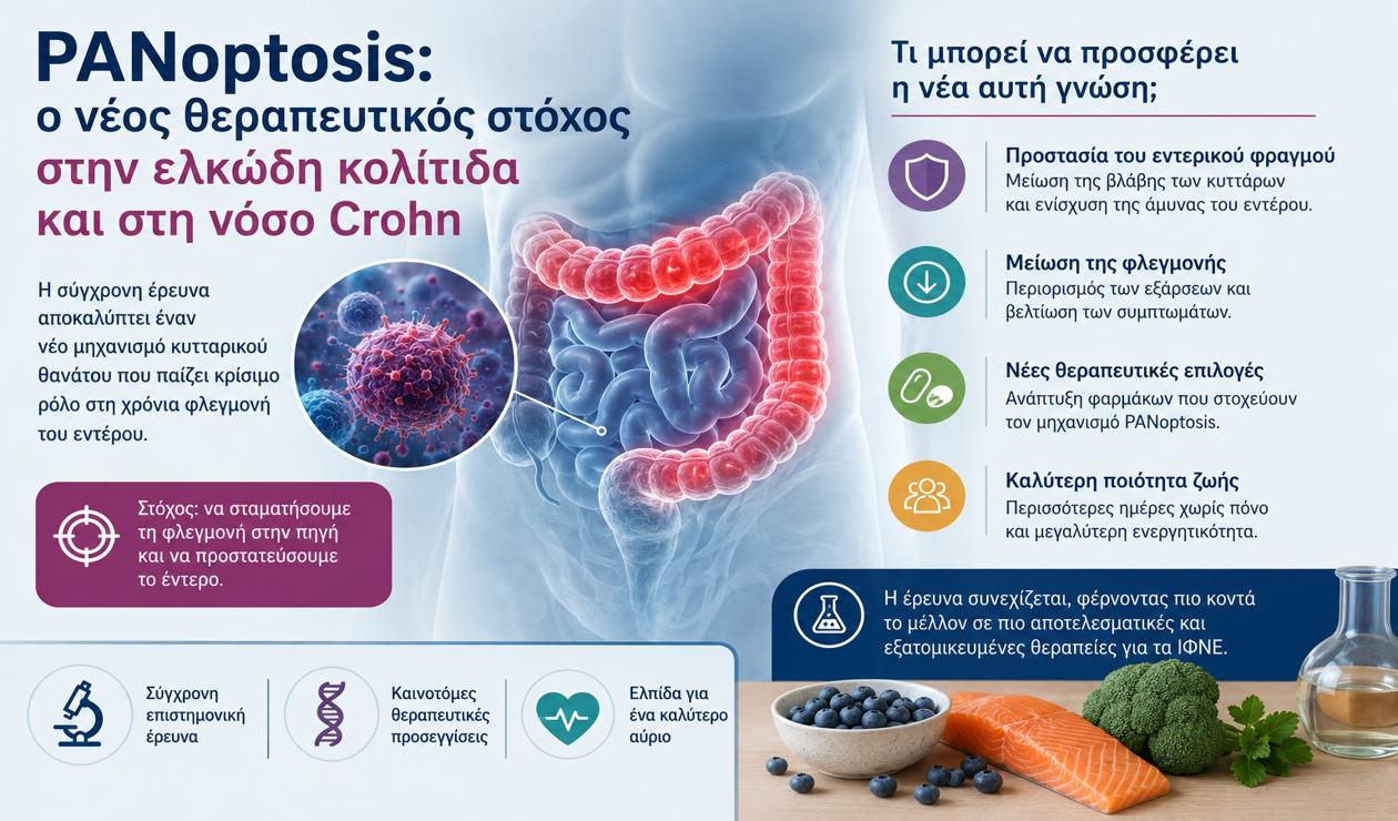 PANoptosis: Ο νέος θεραπευτικός στόχος στην αντιμετώπιση της Ελκώδους Κολίτιδας και της Νόσου Crohn